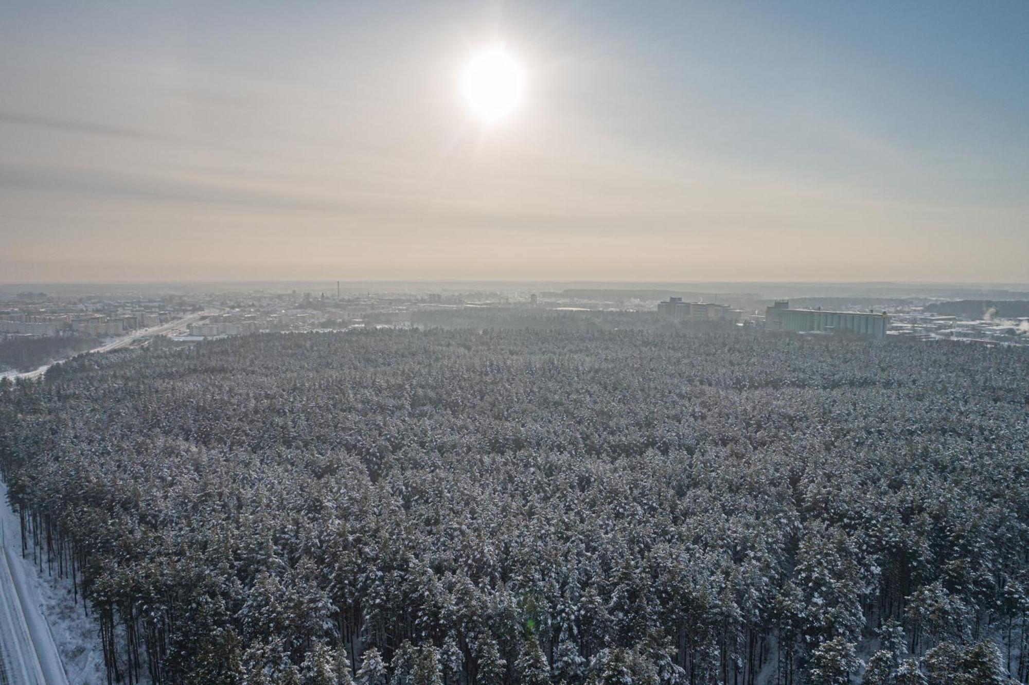Hotel Lesny Białystok Dış mekan fotoğraf